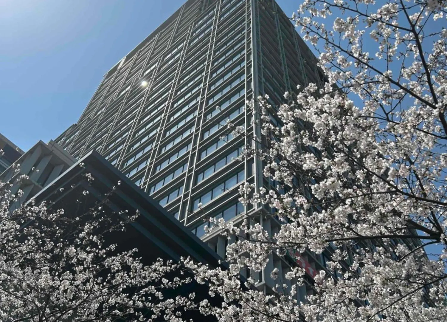 Hotel Monterey Grasmere Osaka