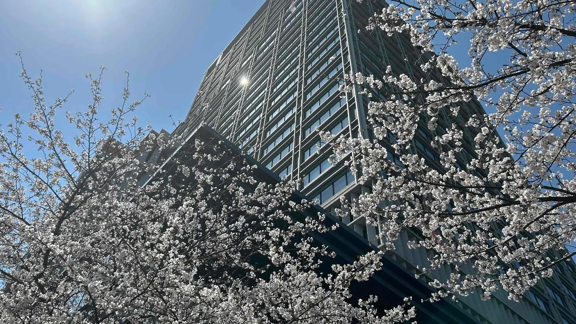 Hotel Monterey Grasmere Osaka 4*,  Japonia