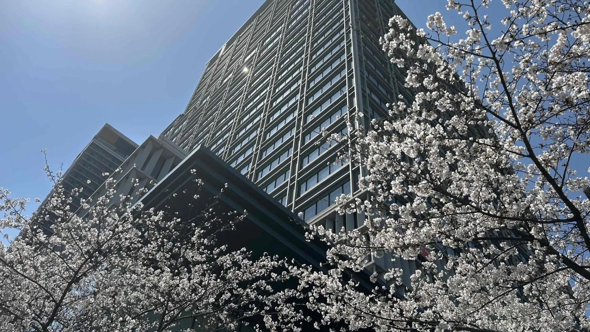 Hotel Monterey Grasmere Osaka